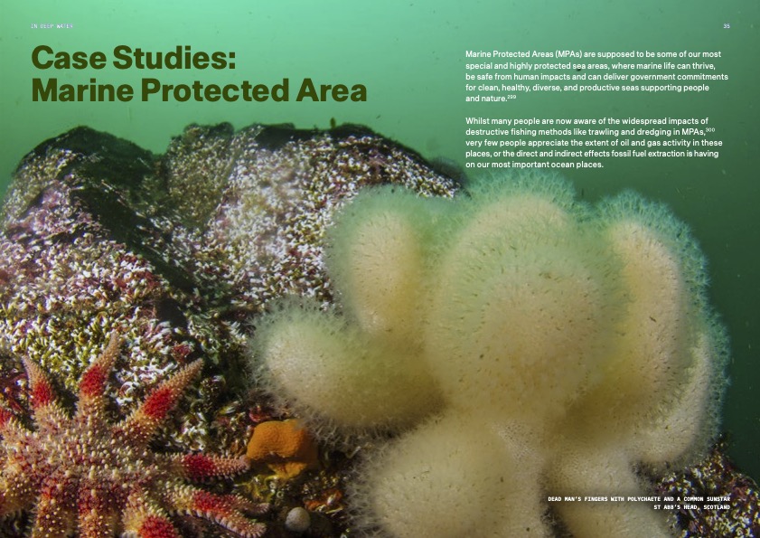Underwater photo of corals