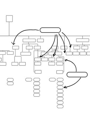 An organisational chart of the Labour party